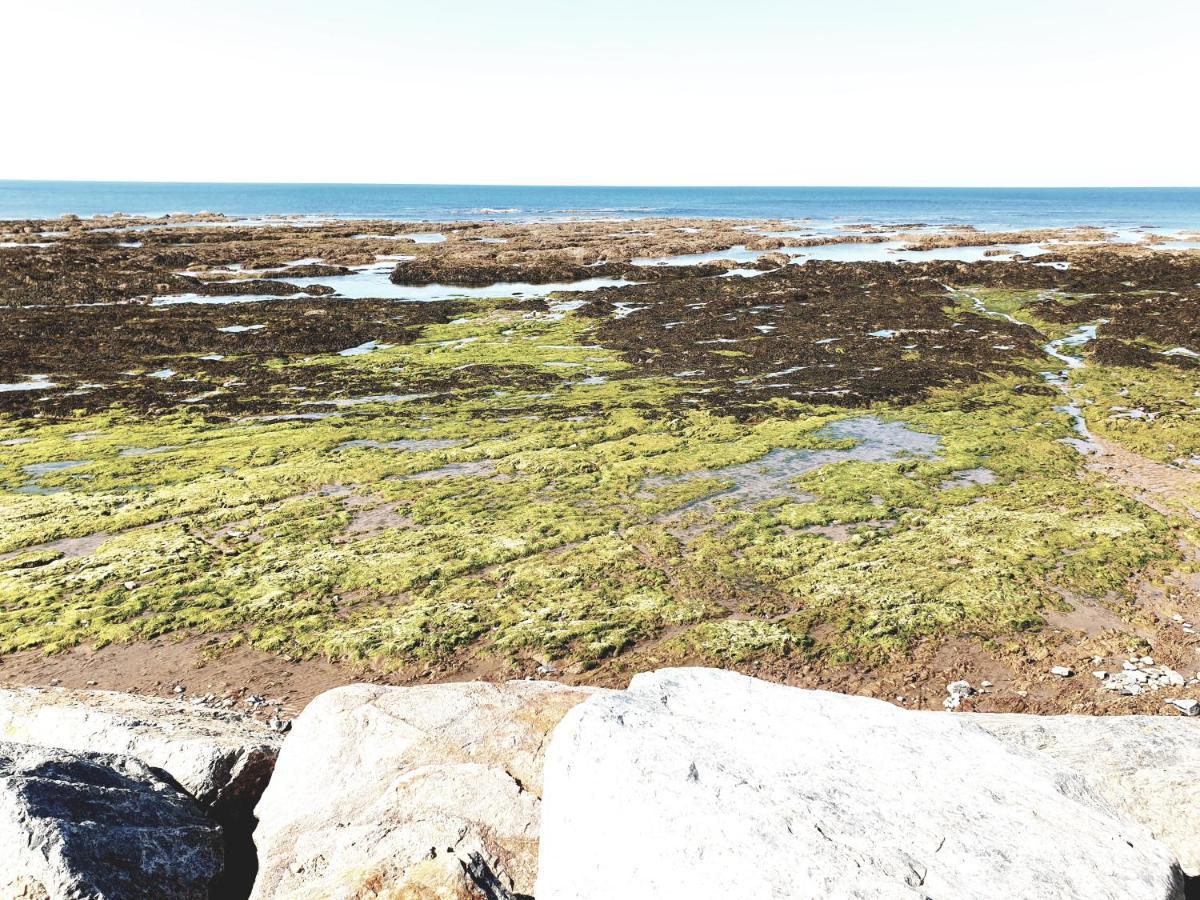 Le Temps D'Une Pause Brétignolles-sur-Mer Екстериор снимка